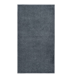 Tapis à poils courts 80x150 cm Anthracite