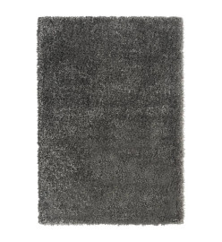 Tapis shaggy à poils hauts Anthracite 140x200 cm 50 mm