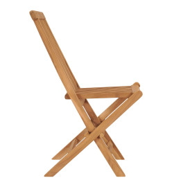 Chaises pliables de jardin 2 pcs Bois de teck solide