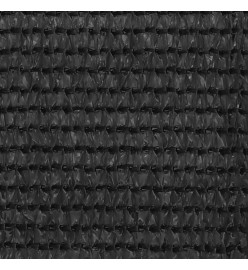 Tapis de tente 250x350 cm Anthracite