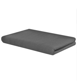 Tapis de tente 250 x 600 cm Anthracite