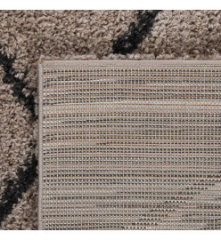 Tapis shaggy à poils longs Beige et anthracite 120x170 cm