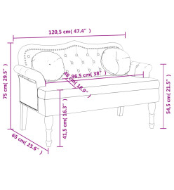 Banc avec coussins noir 120,5x65x75 cm velours