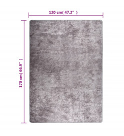 Tapis lavable gris 120x170 cm antidérapant