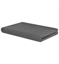 Tapis de tente 250 x 200 cm Anthracite