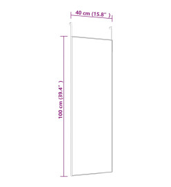 Miroir de porte Noir 40x100 cm Verre et aluminium