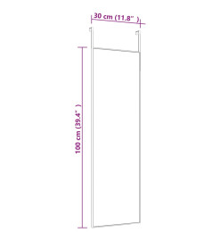 Miroir de porte Doré 30x100 cm Verre et aluminium