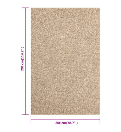 Tapis 200x290 cm aspect jute intérieur et extérieur