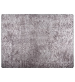 Tapis lavable gris 400x300 cm antidérapant