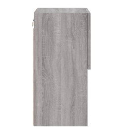 Meubles TV avec lumières LED 2 pcs sonoma gris 30,5x30x60 cm