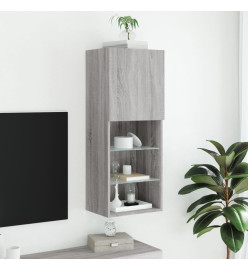 Meuble TV avec lumières LED sonoma gris 40,5x30x102 cm