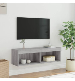 Meuble TV avec lumières LED sonoma gris 100x30x30 cm