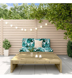 Salon de jardin 2 pcs bois de pin imprégné