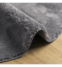 Tapis à poils courts doux et lavable anthracite Ø 80 cm
