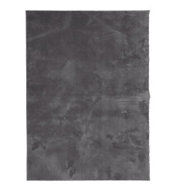 Tapis à poils courts doux et lavable anthracite 160x230 cm