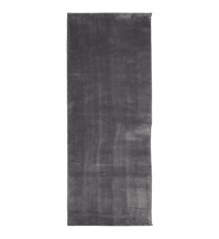 Tapis à poils courts doux et lavable anthracite 80x200 cm