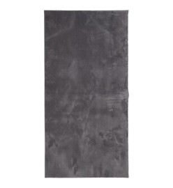 Tapis à poils courts doux et lavable anthracite 100x200 cm