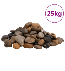 Galets polis 25 kg multicolores 2-5 cm