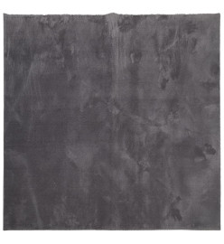 Tapis à poils courts doux et lavable anthracite 120x120 cm