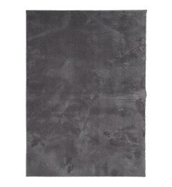 Tapis à poils courts doux et lavable anthracite 240x340 cm