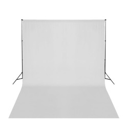 Kit de studio photo avec éclairage toile de fond et réflecteur