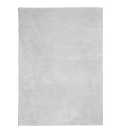 Tapis HUARTE à poils courts doux et lavable gris 120x170 cm