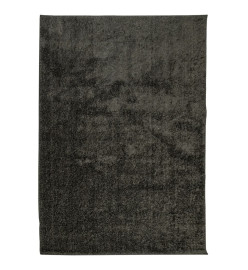 Tapis ISTAN à poils longs aspect brillant anthracite 160x230 cm