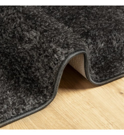 Tapis ISTAN à poils longs aspect brillant anthracite 120x170 cm