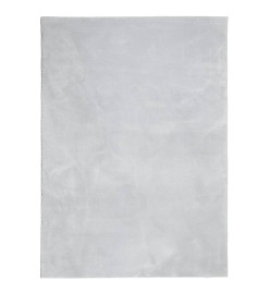 Tapis HUARTE à poils courts doux et lavable gris 160x230 cm