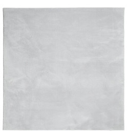 Tapis HUARTE à poils courts doux et lavable gris 120x120 cm