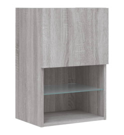 Meubles TV avec lumières LED 2 pcs sonoma gris 40,5x30x60 cm