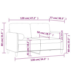 Canapé 2 places avec oreillers gris foncé 120 cm velours