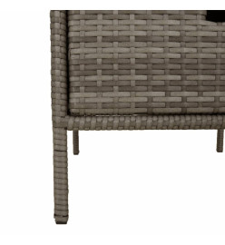 Armoire de rangement de jardin gris 55x59x80 cm résine tressée
