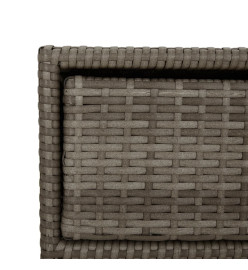 Armoire de rangement de jardin gris 55x59x80 cm résine tressée