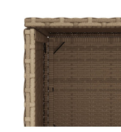 Armoire de rangement de jardin beige 50x55x115cm résine tressée