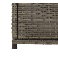 Armoire de rangement de jardin gris 105x55x113cm résine tressée