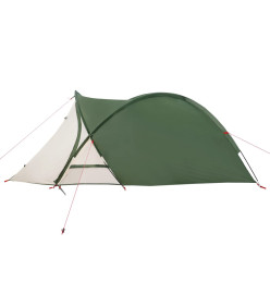 Tente de camping 2 personnes vert 320x140x120 cm taffetas 185T