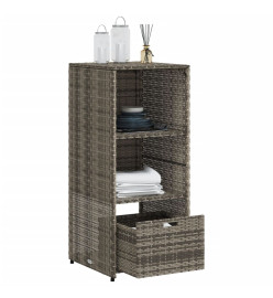 Armoire de rangement de jardin gris 50x55x115 cm résine tressée