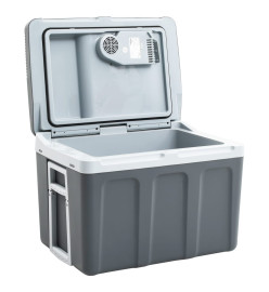 Glacière portable thermoélectrique 40 L 12 V 230 V E