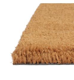 Tapis de porte naturel 65x100 cm fibre de coco touffeté