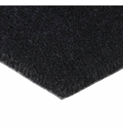 Tapis de porte noir 50x80 cm fibre de coco touffeté