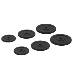 Plaques de poids 6 pcs 30 kg Fonte