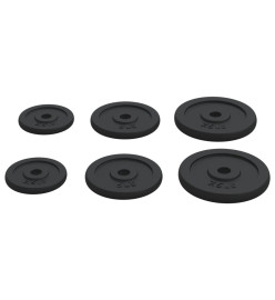 Plaques de poids 6 pcs 30 kg Fonte