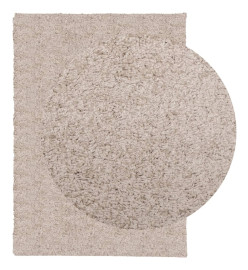 Tapis shaggy à poils longs moderne beige 200x280 cm