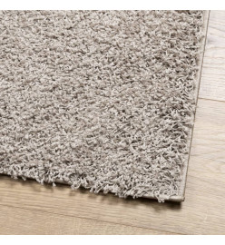 Tapis shaggy à poils longs moderne beige 80x250 cm