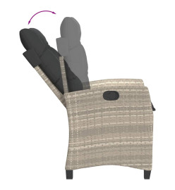 Ensemble à manger de jardin et coussins 9 pcs gris clair rotin