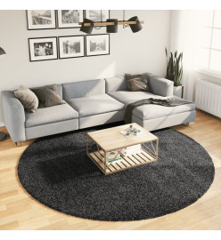 Tapis shaggy à poils longs moderne anthracite Ø 240 cm