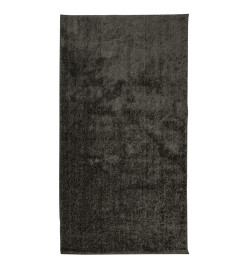 Tapis ISTAN à poils longs aspect brillant anthracite 80x150 cm