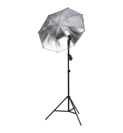 Kit de studio photo avec éclairage et boîtes à lumière