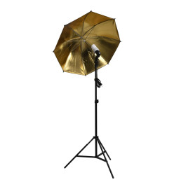 Kit de studio photo avec éclairage et boîtes à lumière